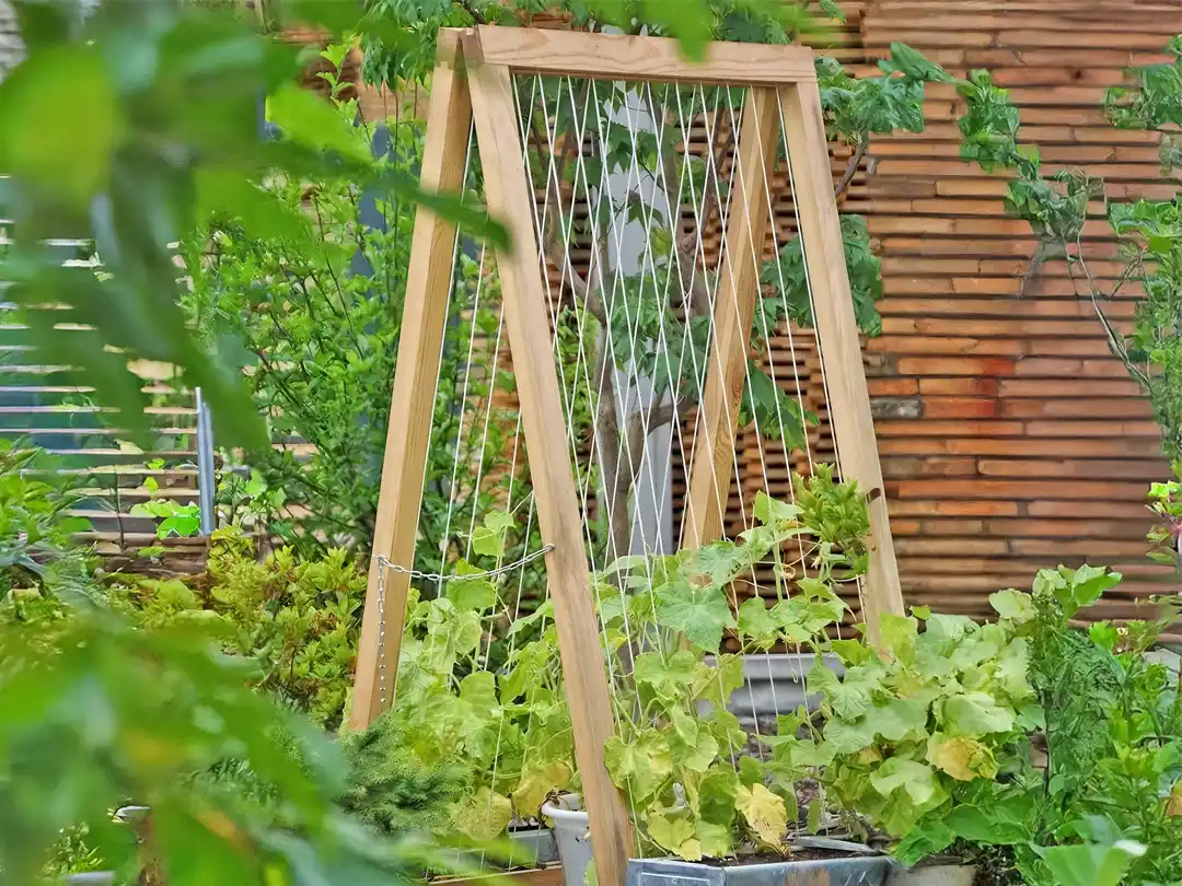 Matériel pour semis et potager